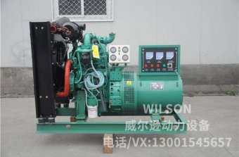 玉柴系列20kw柴油發(fā)電機組